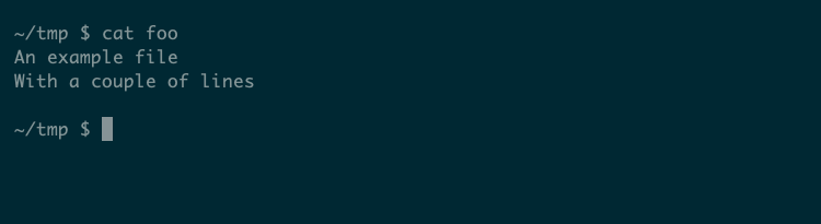 The cat command showing the contents of a single file.