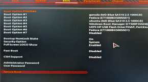 Secure Boot setting in UEFI BIOS of GIGABYTE motherboard.