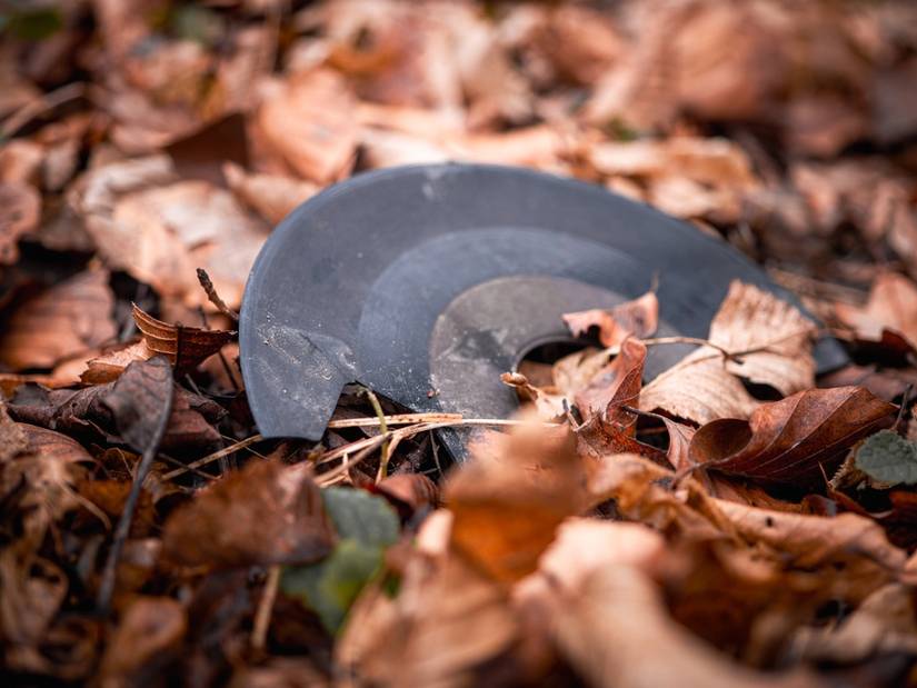A worn vinyl record in a pile of leaves outdoors.