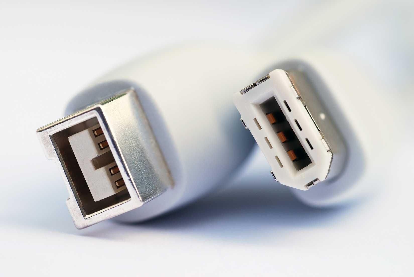 Macro image of firewire cable showing different types of connector.