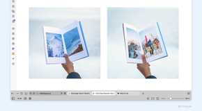 Someone reading a book about beaches and snowwy mountains in the Vivaldi Browser with the tabs moved to the bottom