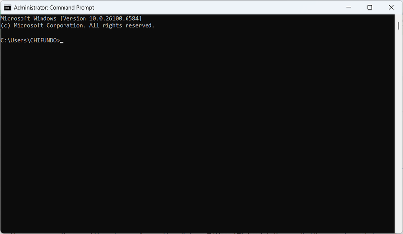 The CMD window on Windows