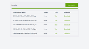 The ConvertX interface with five WebP files converted.