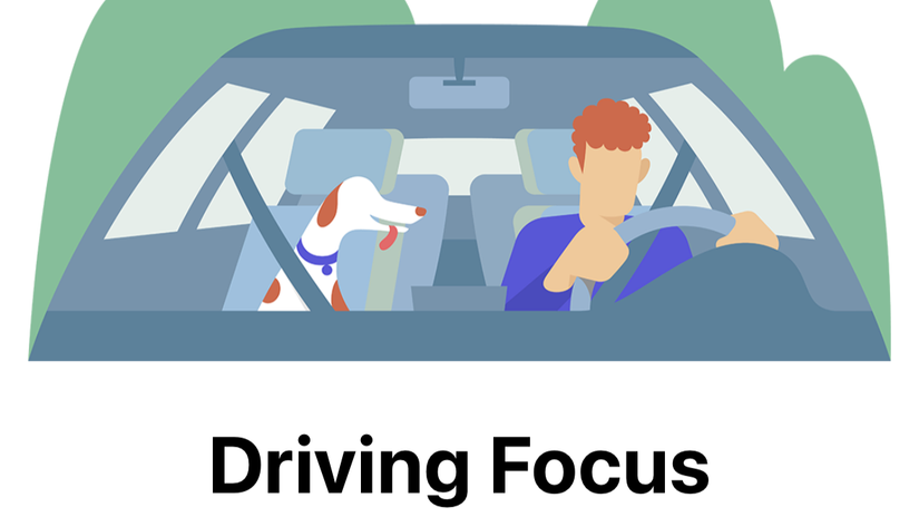 The driving focus graphic in iOS.