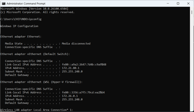 The ipconfig command in CMD on Windows