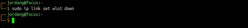 The Linux ip link set down command with no output, indicating a successful operation.