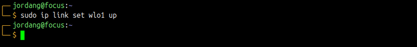 The Linux ip link set up command with no output, indicating a successful operation.