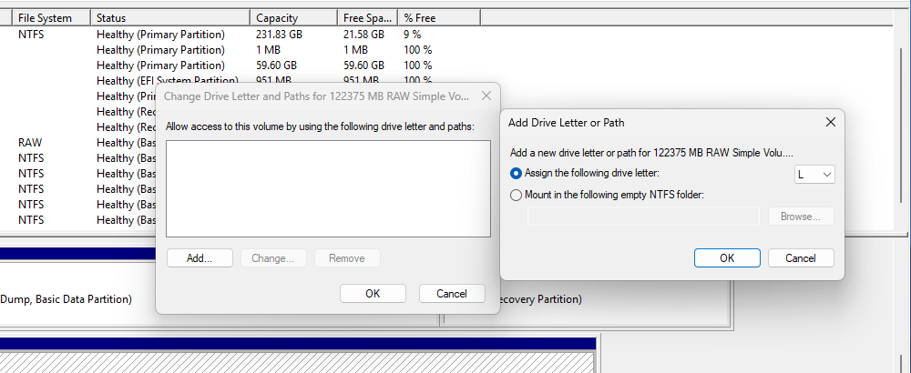 The option to assign a drive letter to the drive.