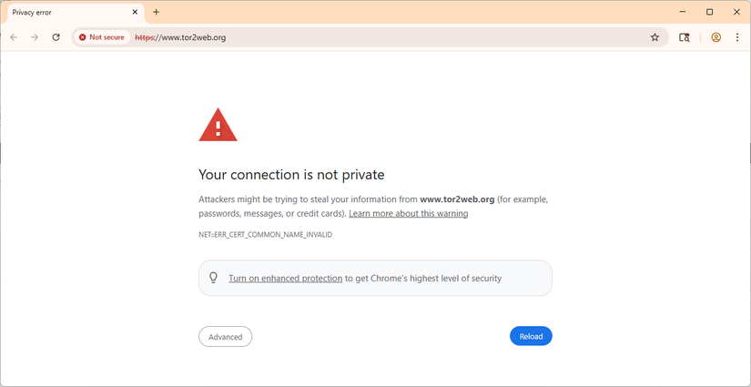 Tor2web security warning in Google Chrome.