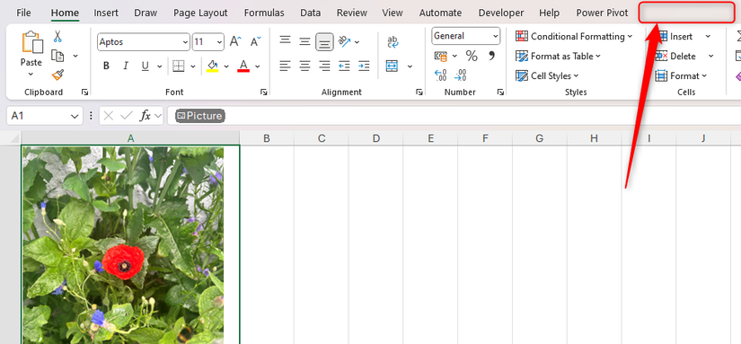 A cell containing an in-cell picture in Excel is selected, and the absence of the Picture Format tab on the ribbon is highlighted.