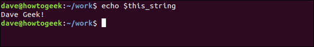 Um terminal Linux com uma variável de string sendo chamada com o comando echo.