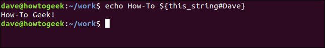 Um terminal Linux com uma variável de string sendo usada que inclui um comentário.