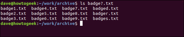 Um terminal Linux com vários arquivos sendo listados usando um ponto de interrogação.