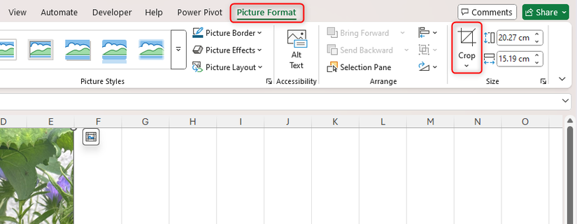A picture in Excel is selected, and the Crop tool in the Picture Format tab is highlighted.