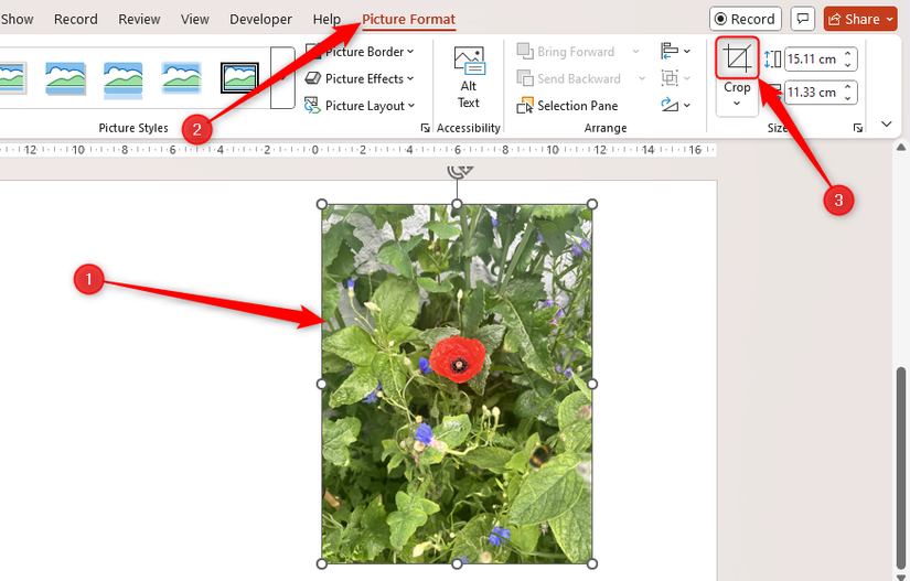 How to Crop Pictures in Microsoft Word, Excel, and PowerPoint