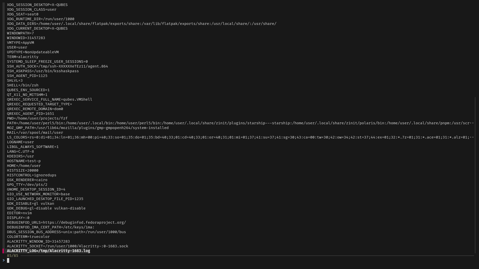 A terminal window displays a list of environment variable names and values in an fzf window. The user is ready to perform a real-time fuzzy search.