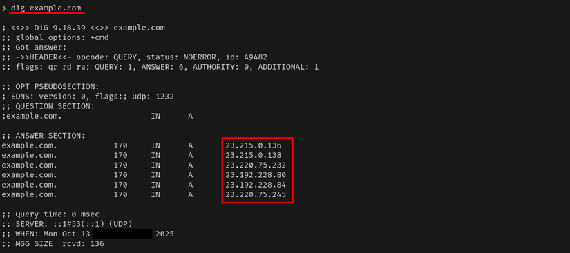 Dig Query Examples Linux 4 Ways to Pinpoint Inevitable Network Outages on Linux