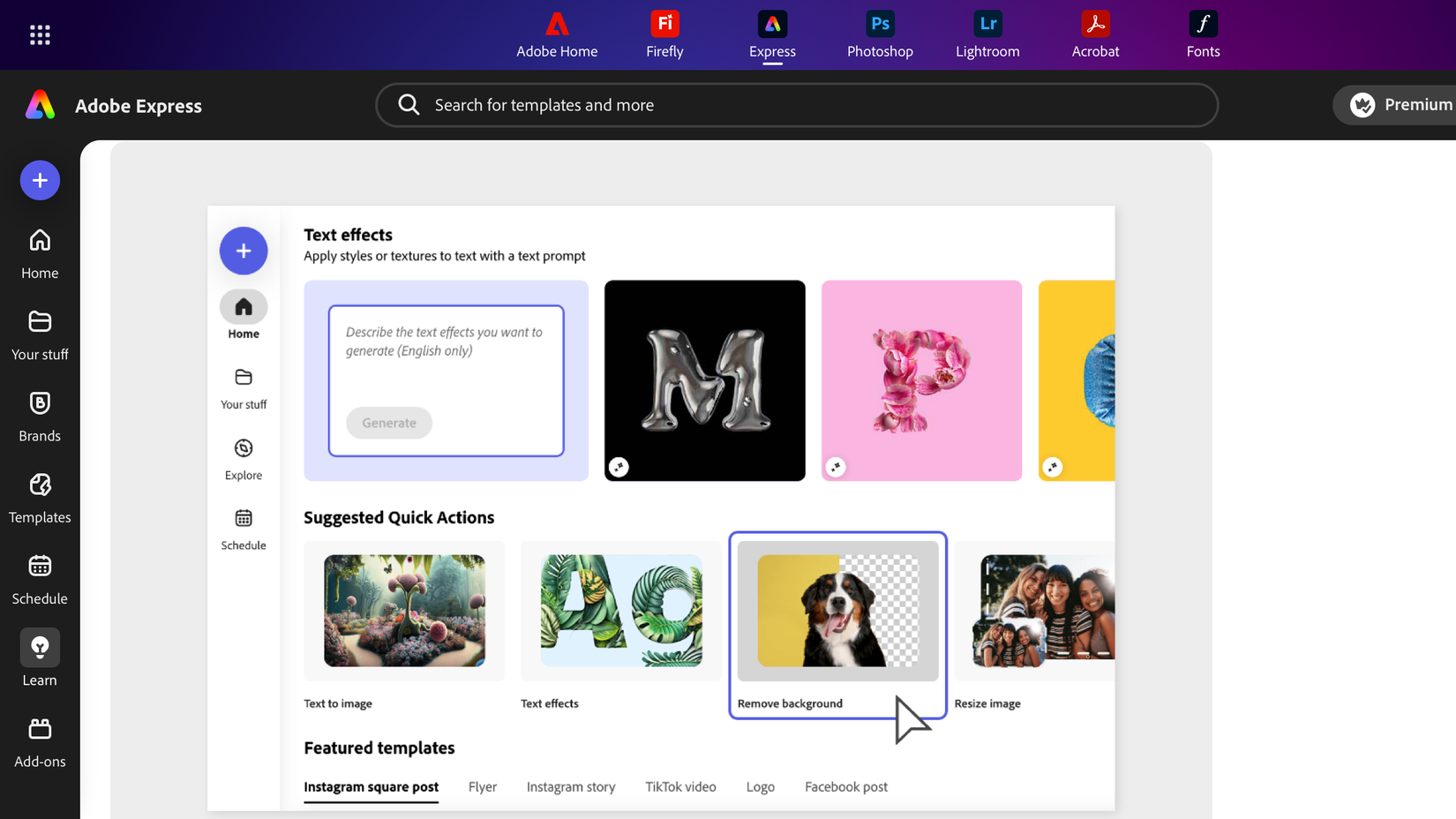 Fundo do Adobe Express remove interface do usuário