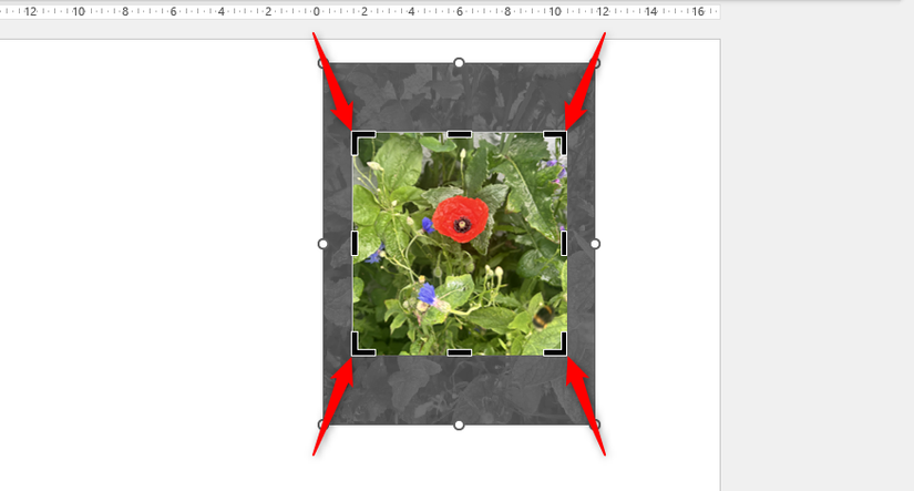 How to Crop Pictures in Microsoft Word, Excel, and PowerPoint