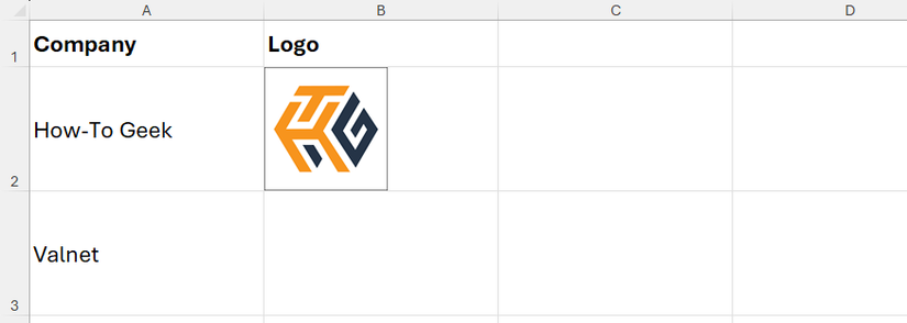 An in-cell picture of the HTG logo in Excel.