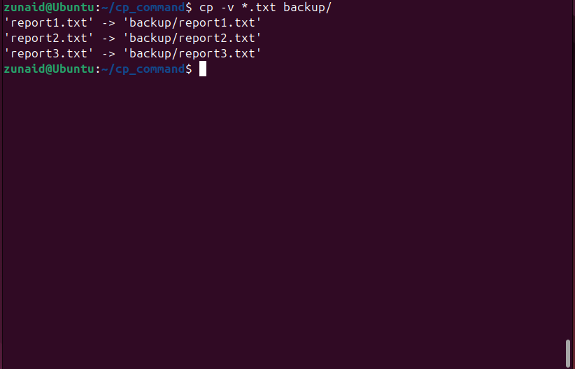 Copying multiple files using the cp command in verbose mode to see which ones are being copied.