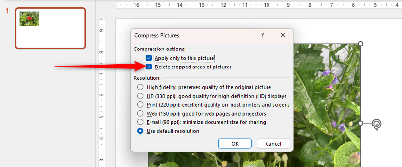 Delete Cropped Areas Of Pictures is checked in PowerPoint's Compress Pictures dialog box.