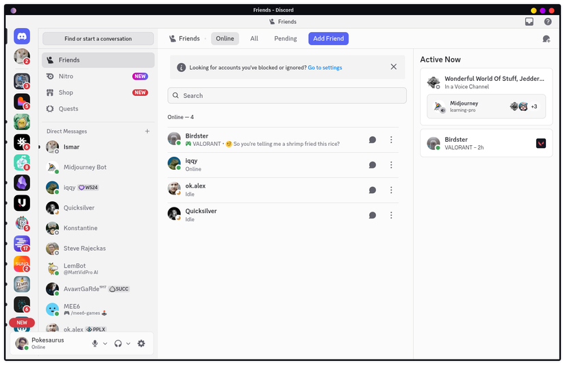 Discord user interface.