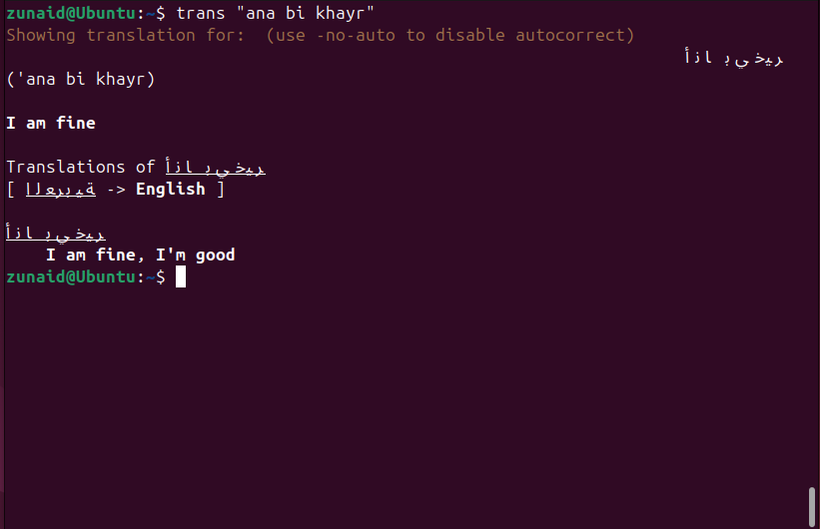 This Tool Let Me Use Google Translate in the Linux Terminal