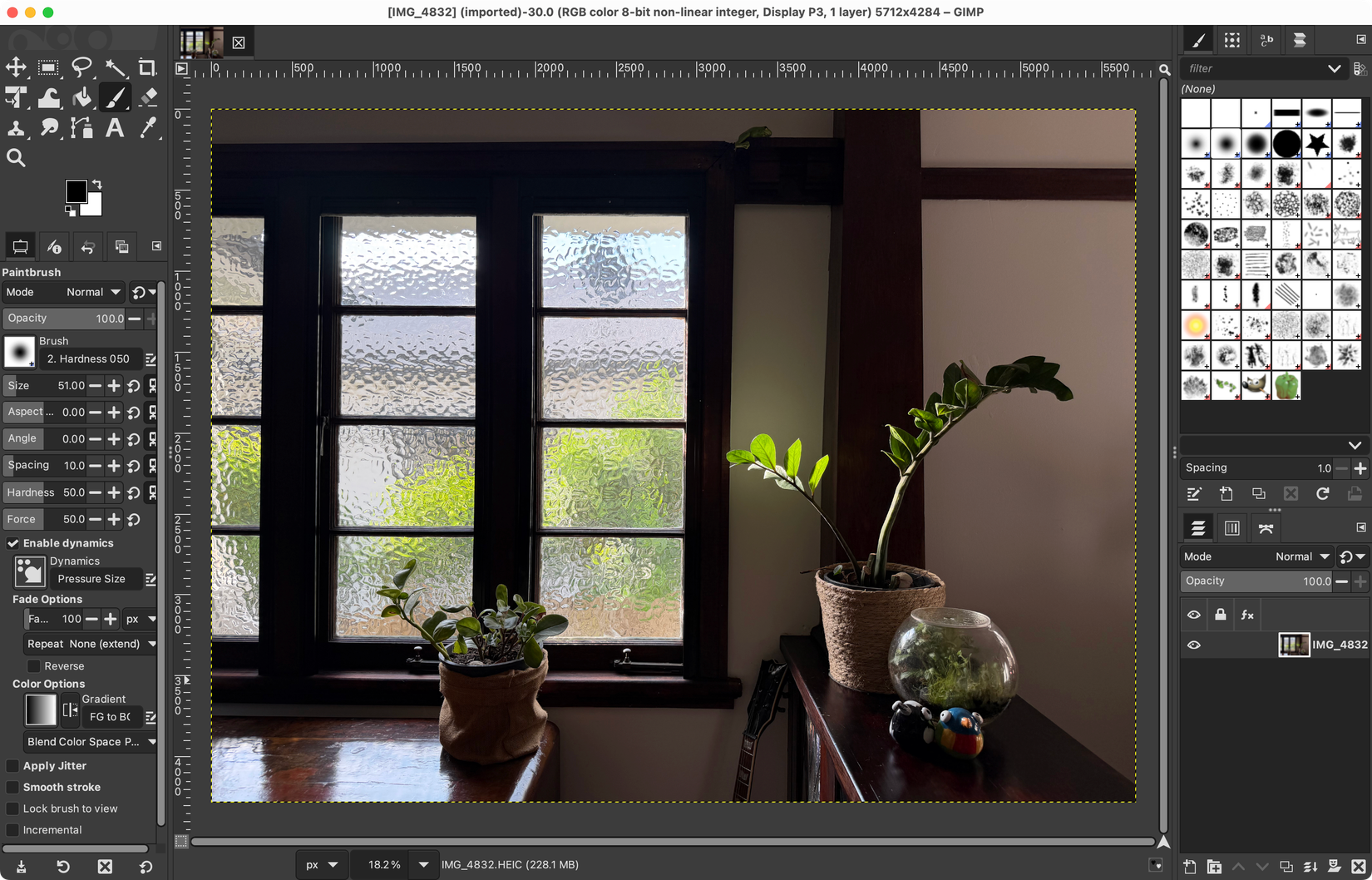 Editando um arquivo HEIC no GIMP em um Mac.