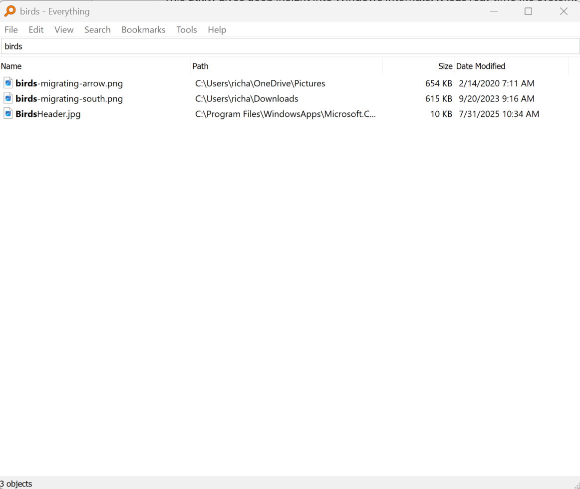 A screenshot of the free tool Everything, designed to speed up search when looking for files within Windows.