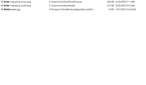 A screenshot of the free tool Everything, designed to speed up search when looking for files within Windows.