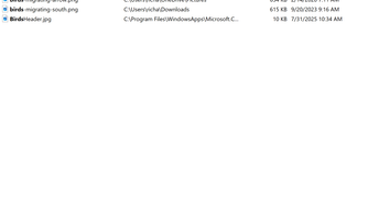 A screenshot of the free tool Everything, designed to speed up search when looking for files within Windows.