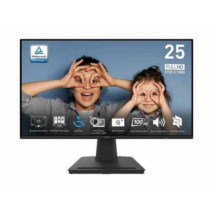 MSI PRO MP252.