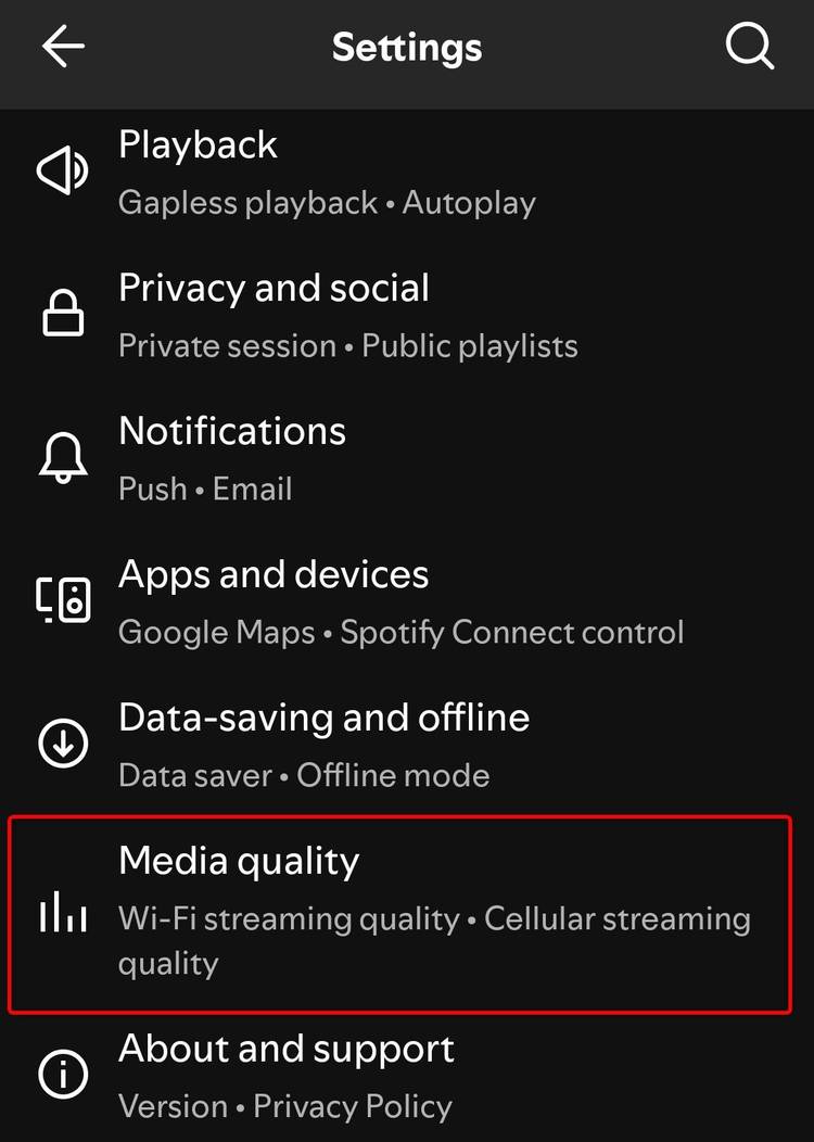The options menu in Spotify's Android app showing different option tabs.