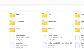 Steam Deck Home folder showing various folders and files opened in Windows File Explorer.