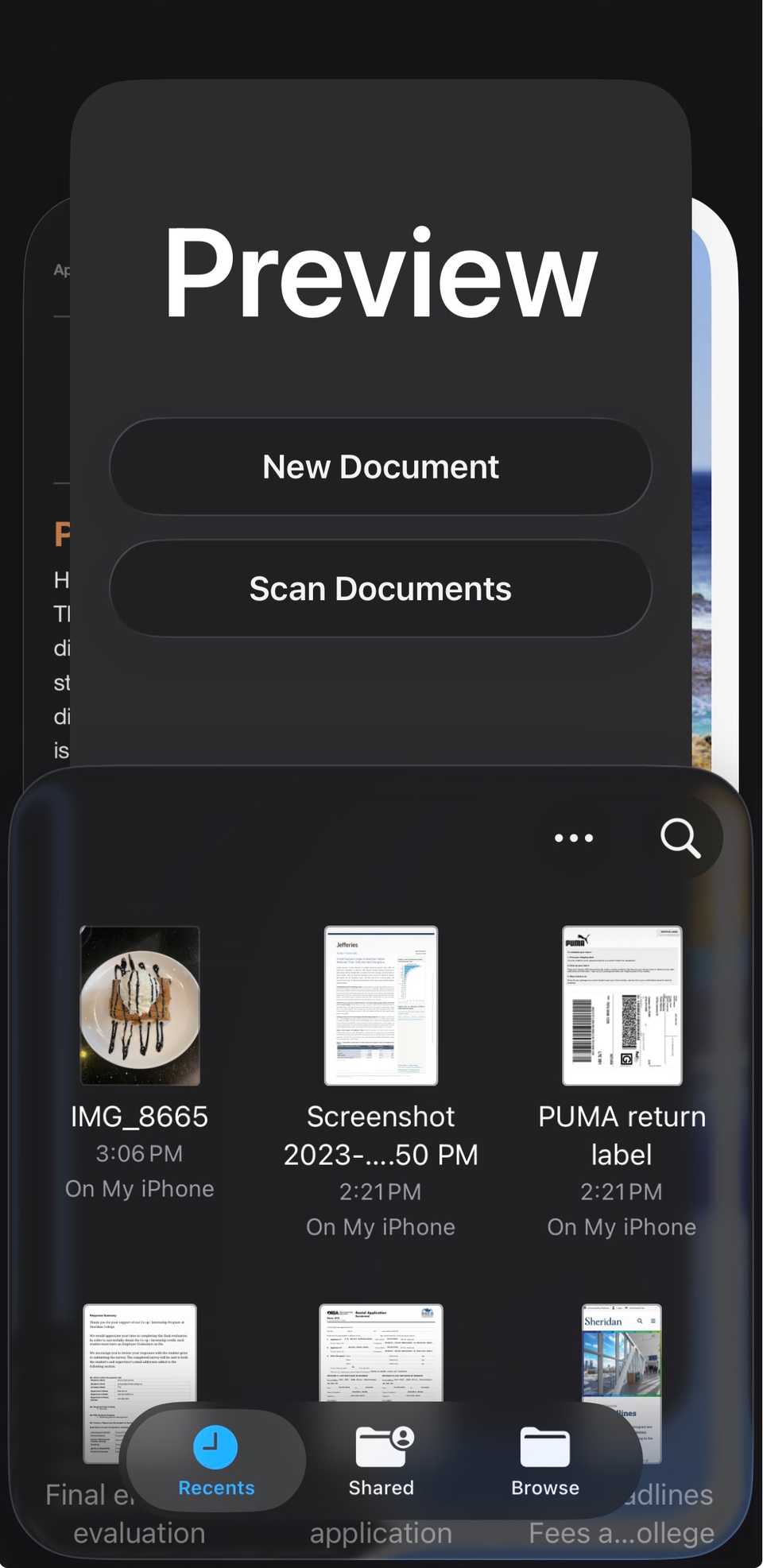 The interface for Preview on iPhone.