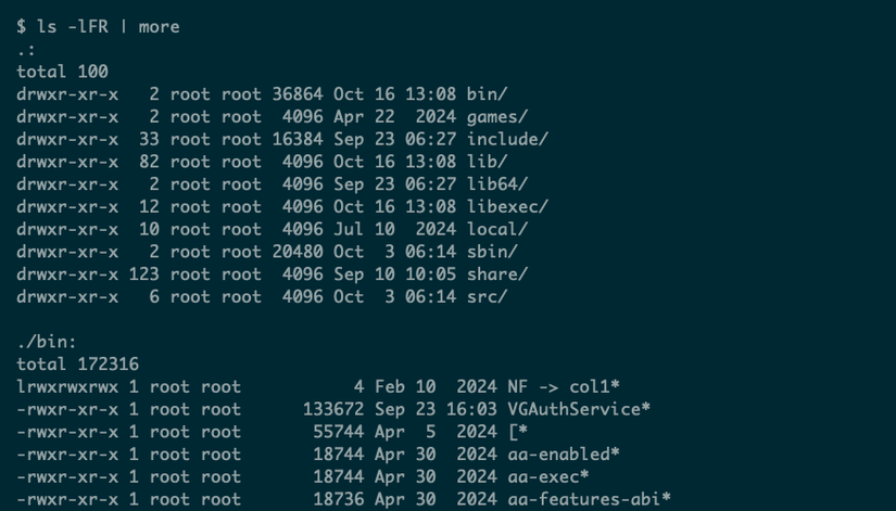 The ls command using the -R option to recurse into subdirectories and list all files within the current hierarchy.