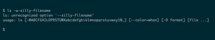 An error reported from ls when processing a filename beginning with a hyphen. The error reads "unrecognized option".