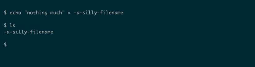A terminal session creating a filename with a leading hyphen, then confirming its existence with ls.