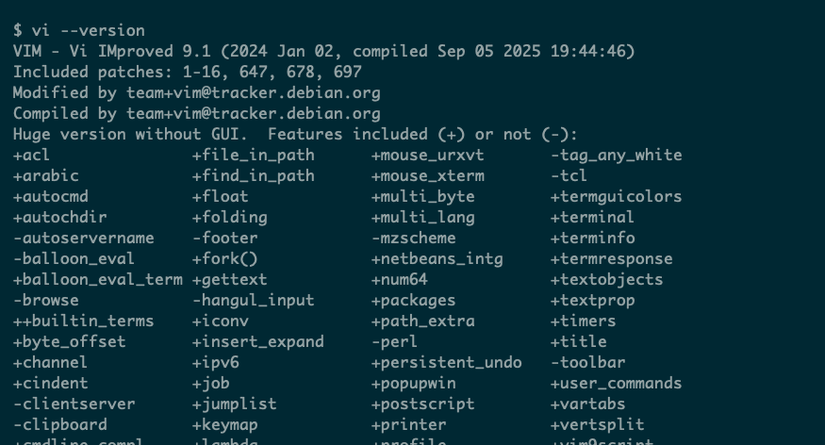 Very detailed output from the vi command, run with the --version option, includes patch details and the inclusion status of many different features.