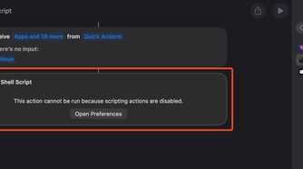 Message saying that scripts are disabled.