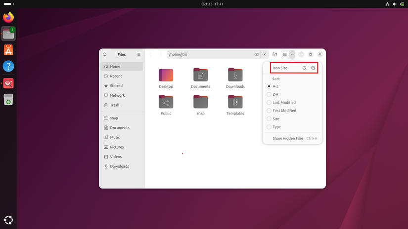 Nautilus com opções de visualização de ícones abertas mostrando como ajustar o tamanho do ícone.