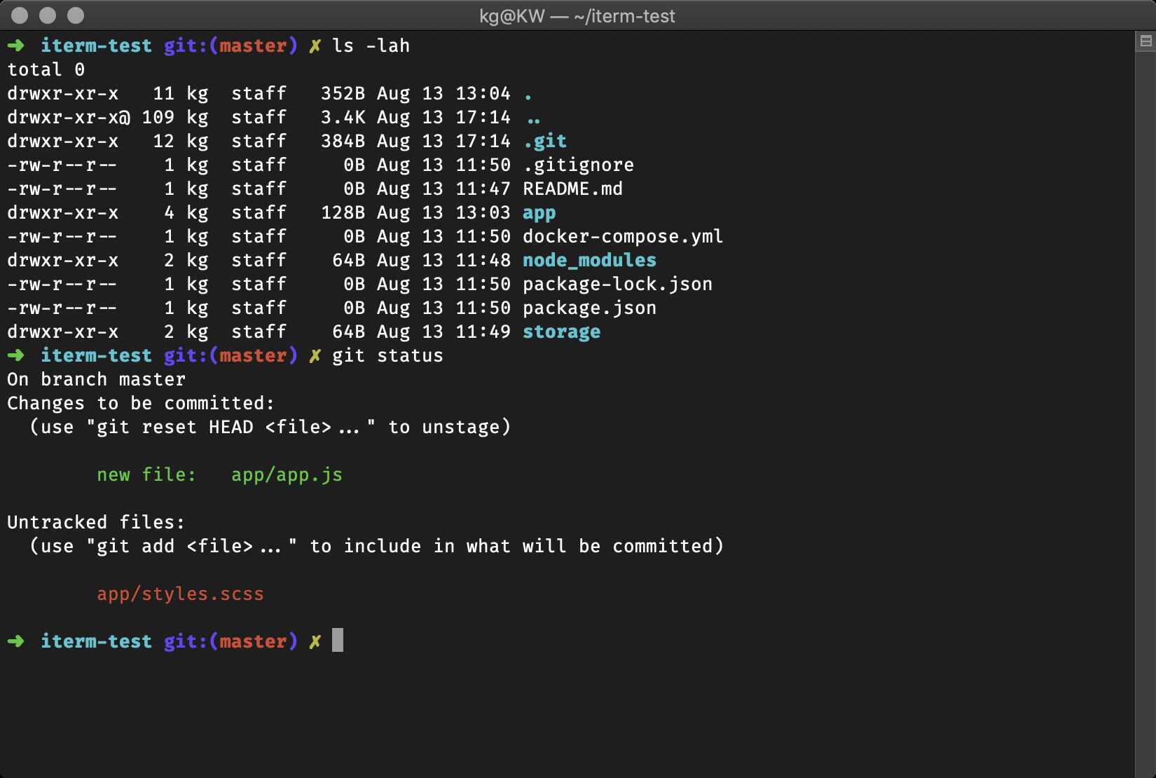Oh My ZSH showing a git repository in a terminal.