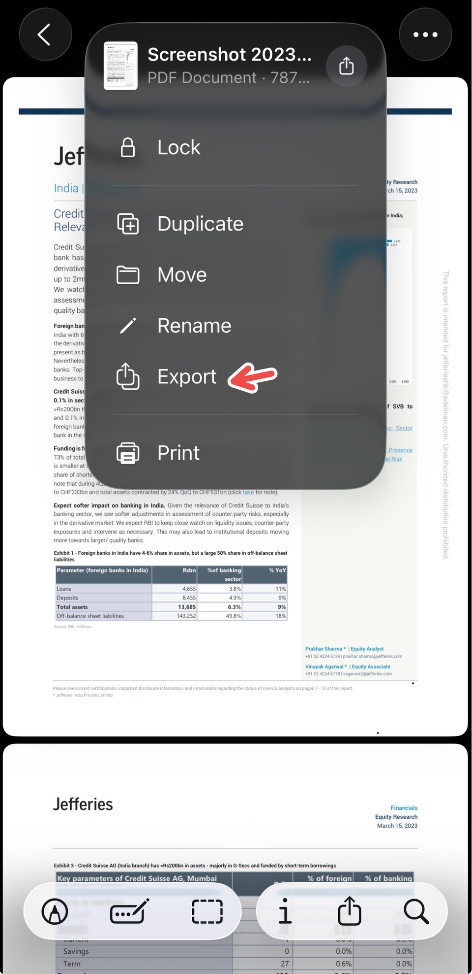 Exporting a file on Preview for iPhone.