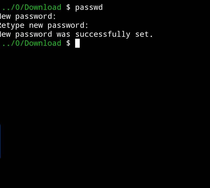 Setting a Termux password.