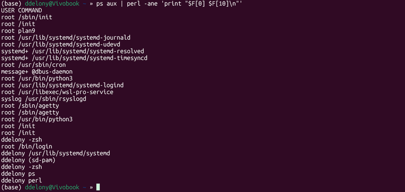 Piping the ps aux command into a Perl one-liner to print certain fields.