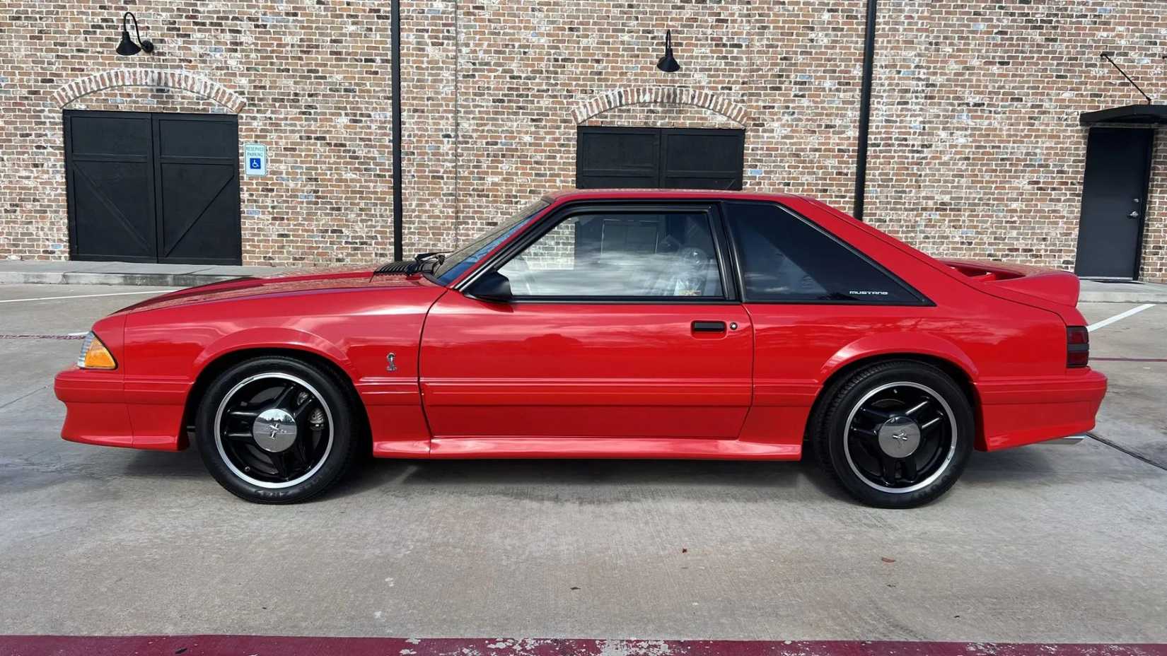 Photo de profil latérale statique d'une Ford Mustang SVT Cobra R rouge de 1993.