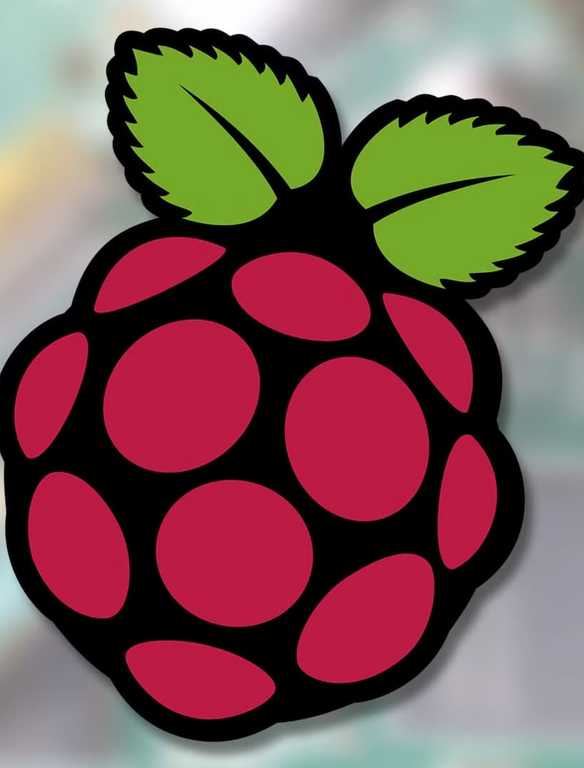 Red Raspberry Logo Weed SATA SSDs are in trouble: Western Digital's new HDDs just matched their ...