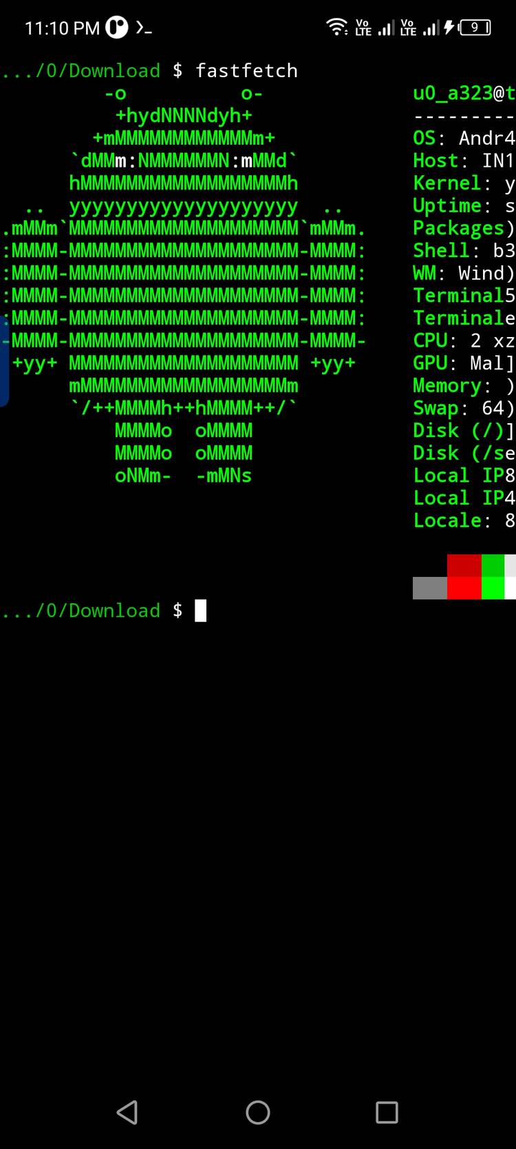 Running Fastfetch on Termux.