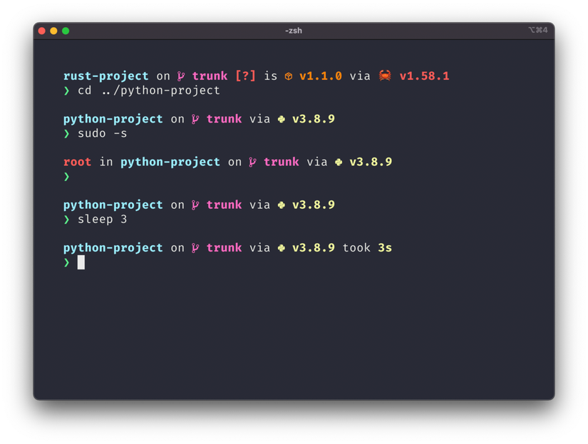 Starship terminal displaying a git repository.